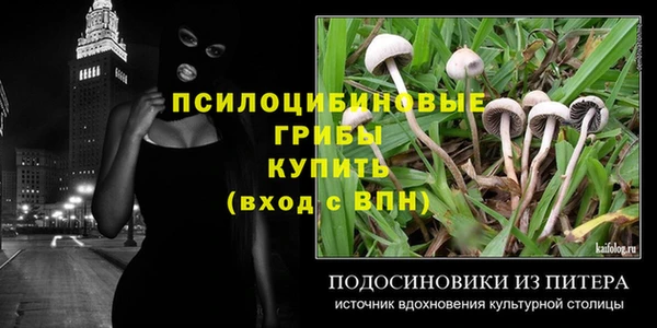 прущие крисы Аркадак