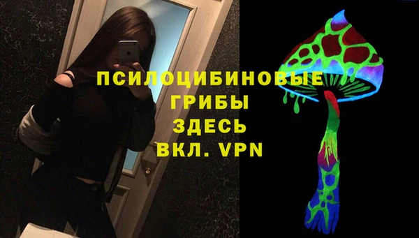 стаф Армянск